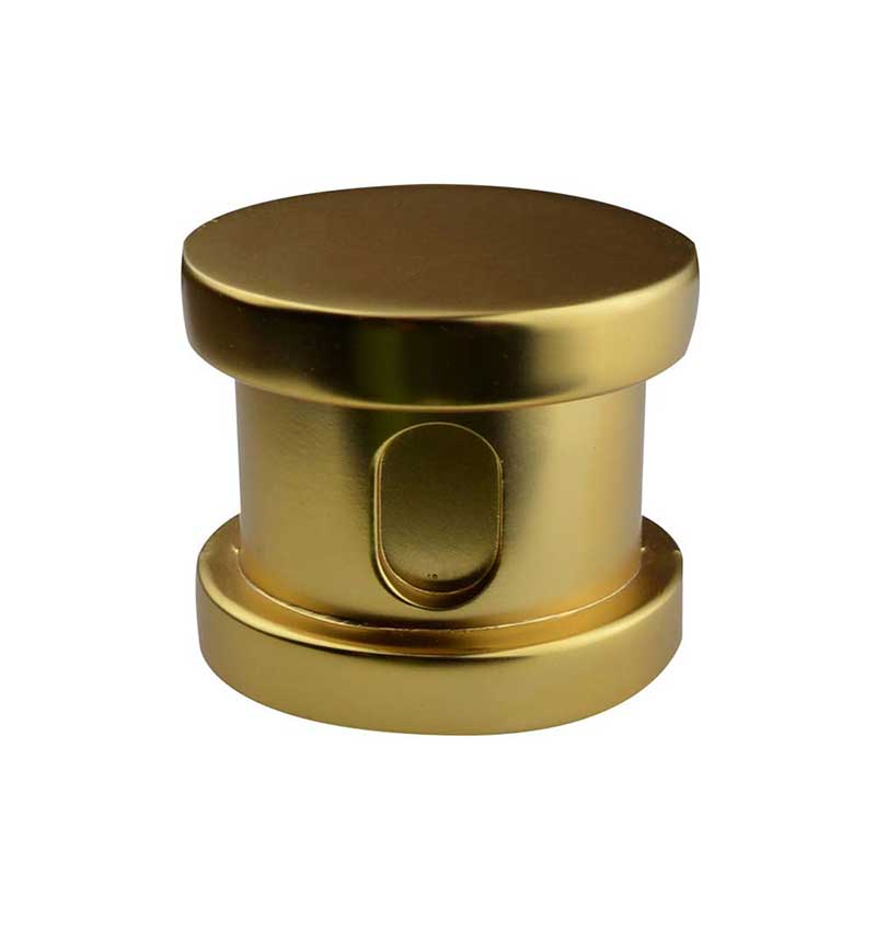 SteamSpa Steamhead with Aromatherapy Reservoir in Polished Gold 2