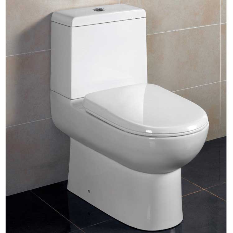 Ariel Bath Platinum Camilla Dual Flush Elongated Toilet 1 Piece 6