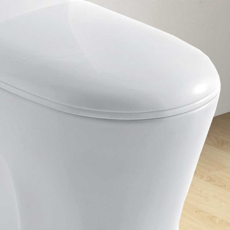 Ariel Bath Royal Dual Flush Elongated Toilet 1 Piece 3