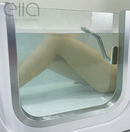 Laydown 30x60 Air Massage Walk in Bathtub Left Drain