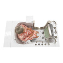 Ella Elite 30"x52" Acrylic Air and Hydro Massage Walk-In Bathtub with Left Inward Swing Door, 5 Piece Fast Fill Faucet, 2" Dual Drain 9