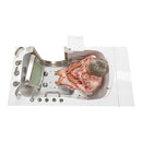 Ella Royal 32"x52" Acrylic Air and Hydro Massage Walk-In Bathtub with Right Inward Swing Door, 5 Piece Fast Fill Faucet, 2" Dual Drain 9