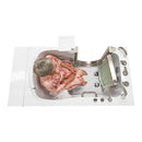 Ella Royal 32"x52" Acrylic Hydro Massage Walk-In Bathtub with Left Inward Swing Door, Heated Seat, 5 Piece Fast Fill Faucet, 2" Dual Drain 9