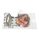 Ella Royal 32"x52" Acrylic Hydro Massage Walk-In Bathtub with Right Inward Swing Door, Heated Seat, 5 Piece Fast Fill Faucet, 2" Dual Drain 9