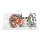 Ella Elite 30"x52" Acrylic Soaking Walk-In-Bathtub, Left Inward Swing Door, 5 Piece Fast Fill Faucet, 2" Dual Drain 8