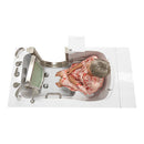 Ella Elite 30"x52" Acrylic Soaking Walk-In-Bathtub, Right Inward Swing Door, 5 Piece Fast Fill Faucet, 2" Dual Drain 9