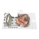 Ella Peitite 28"x52" Acrylic Air and Hydro Massage and Heated Seat Walk-In Bathtub with Right Inward Swing Door, 5 Piece Fast Fill Faucet, 2" Dual Drain 9