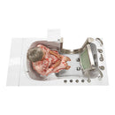 Ella Peitite 28"x52" Acrylic Hydro Massage Walk-In Bathtub with Left Inward Swing Door, 5 Piece Fast Fill Faucet, 2" Dual Drain 9