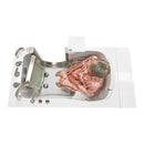 Ella Peitite 28"x52" Acrylic Hydro Massage Walk-In Bathtub with Right Inward Swing Door, 5 Piece Fast Fill Faucet, 2" Dual Drain 9