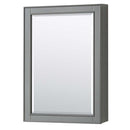 Deborah 48 Inch Single Bathroom Vanity in Dark Gray - 49