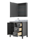 Daria 36 Inch Single Bathroom Vanity in Dark Gray - 18