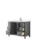 Daria 48 Inch Single Bathroom Vanity in Dark Gray - 9