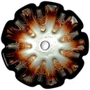 Anzzi Tara Series Deco-Glass Vessel Sink in Opal Crest LS-AZ8184 3