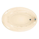 American Standard 2903.018WC.021 Savona EverClean 5 ft. Whirlpool Tub in Bone