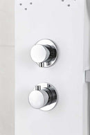 Anzzi Lyric 64 in. 6-Jetted Full Body Shower Panel with Heavy Rain Shower and Spray Wand in White SP-AZ8091 5