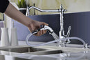 Anzzi Locke Single Handle Kitchen Faucet with Sprayer in Polished Chrome 6