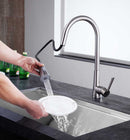 Anzzi Tulip Single-Handle Pull-Out Sprayer Kitchen Faucet in Brushed Nickel KF-AZ216BN 6