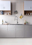 Anzzi Accent Single Handle Pull-Down Sprayer Kitchen Faucet in Brushed Nickel KF-AZ003BN 4