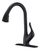 Anzzi Accent Series Single-Handle Pull-Down Sprayer Kitchen Faucet in Matte Black KF-AZ031MK