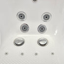 Ella Wheelchair Transfer 30"x60" Acrylic Air and Hydro Massage and Heated Seat Walk-In Bathtub with Left Outward Swing Door, 5 Piece Fast Fill Faucet, 2" Dual Drain 7