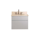 Avanity Tribeca 24 in. Wall Mounted Vanity Combo TRIBECA-VS24-CG-B