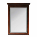 Avanity Tropica 24 in. Mirror TROPICA-M24-AB
