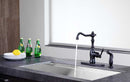 Anzzi Highland Single-Handle Standard Kitchen Faucet with Side Sprayer in Oil Rubbed Bronze KF-AZ224ORB 15