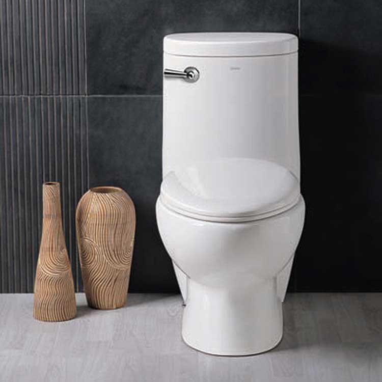 Ariel Bath Hermes Contemporary Elongated 1 Piece Toilet 2
