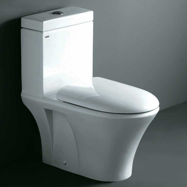Ariel Bath Milano Contemporary Elongated 1 Piece Toilet with Dual Flush