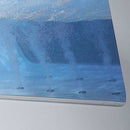 Ariel Bath 70" x 32" Free Standing Whirlpool Tub 8