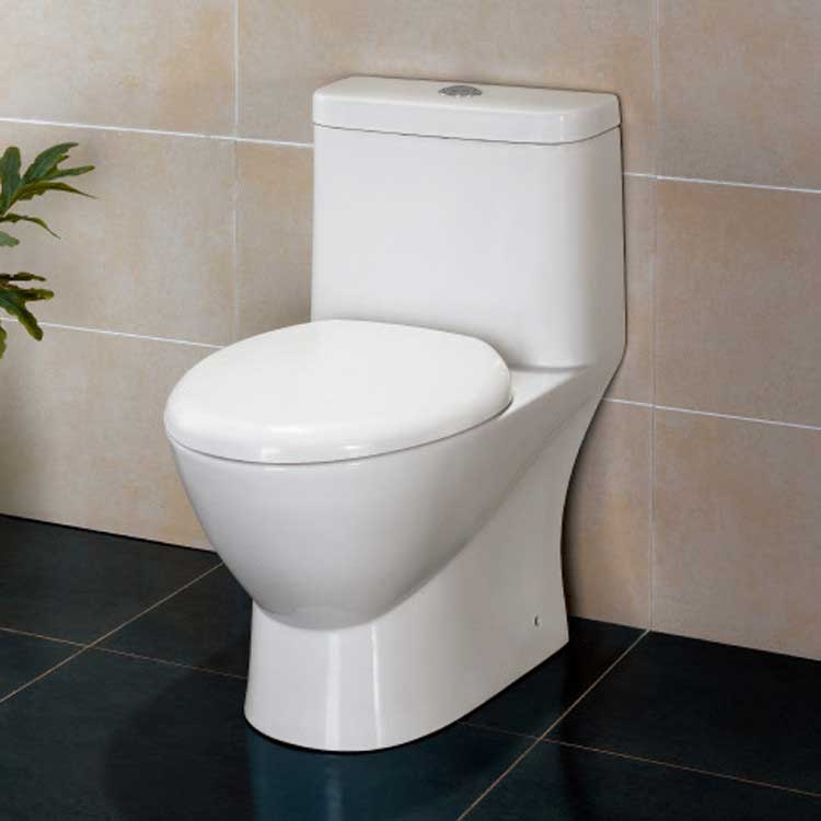 Ariel Bath Platinum Adriana Dual Flush Elongated Toilet 1 Piece