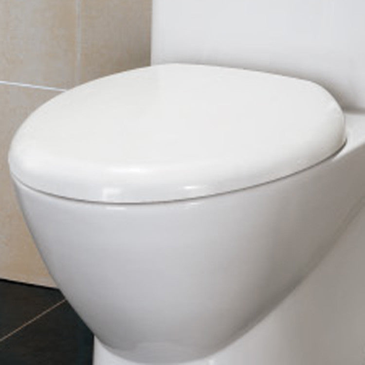Ariel Bath Platinum Adriana Dual Flush Elongated Toilet 1 Piece 6
