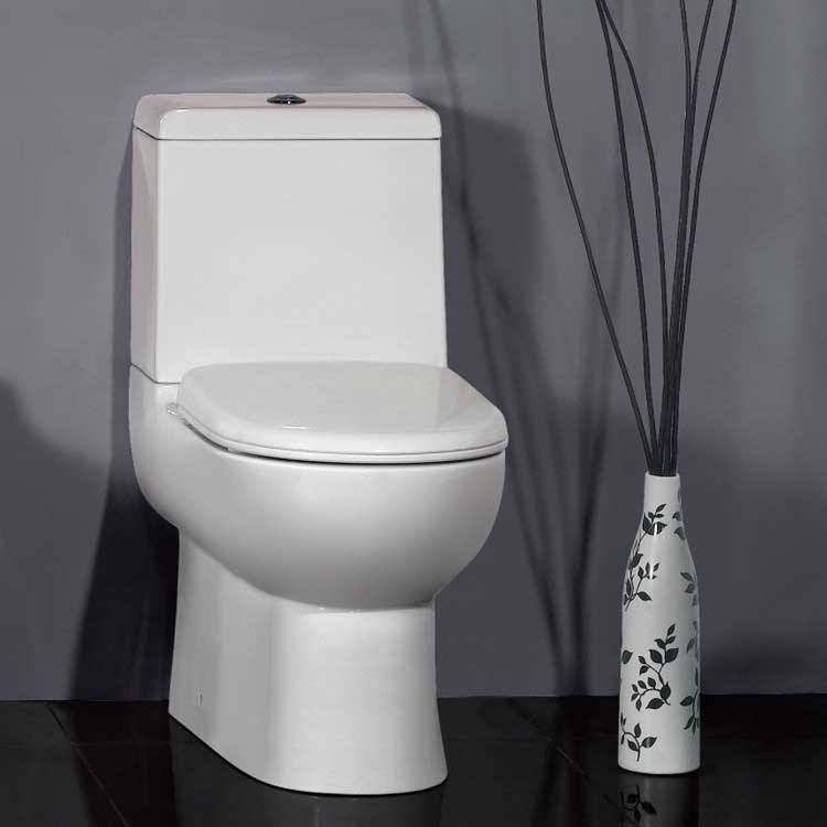 Ariel Bath Platinum Camilla Dual Flush Elongated Toilet 1 Piece