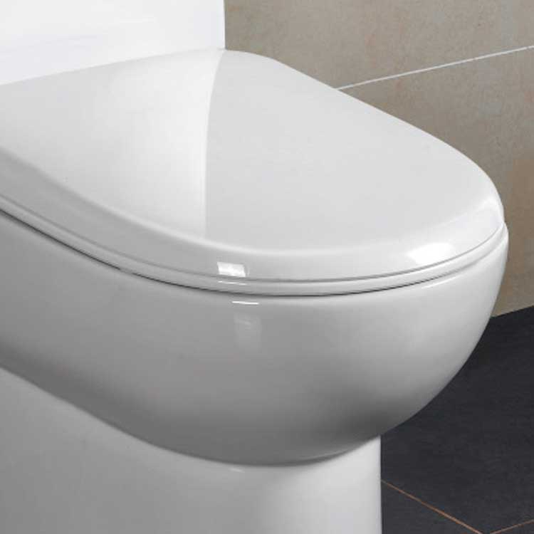 Ariel Bath Platinum Camilla Dual Flush Elongated Toilet 1 Piece 3